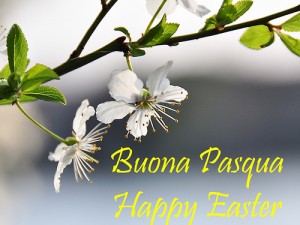 buonapasqua